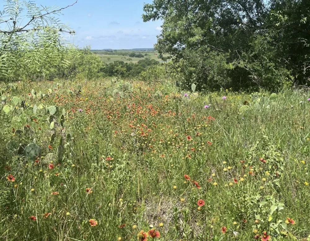 Comanche Lake Road Comanche, TX 76442