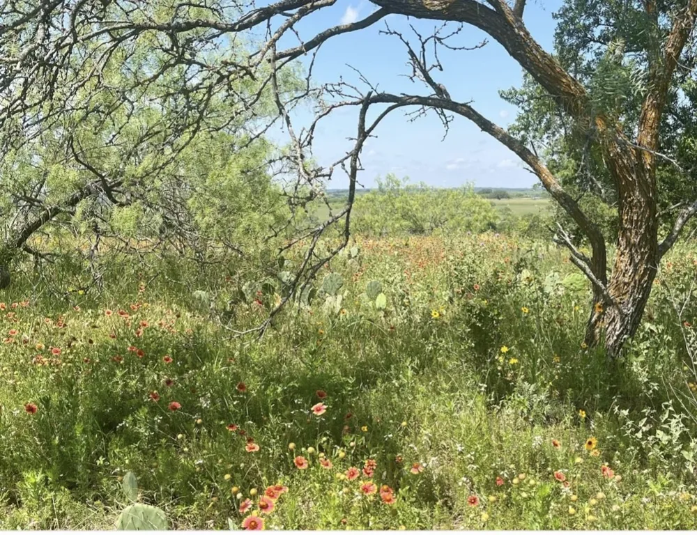 Comanche Lake Road Comanche, TX 76442