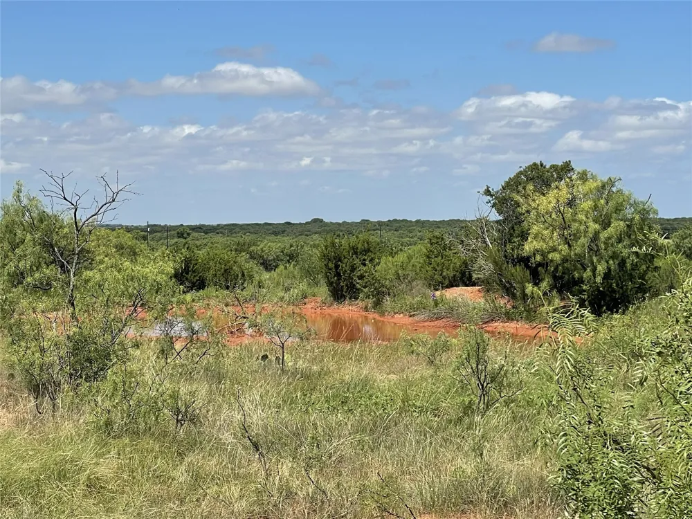 2221 Lemons Gap Road Ovalo, TX 79541