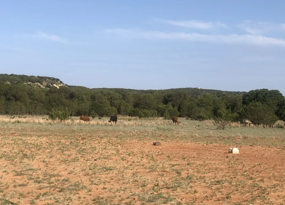 2221 Lemons Gap Road Ovalo, TX 79541