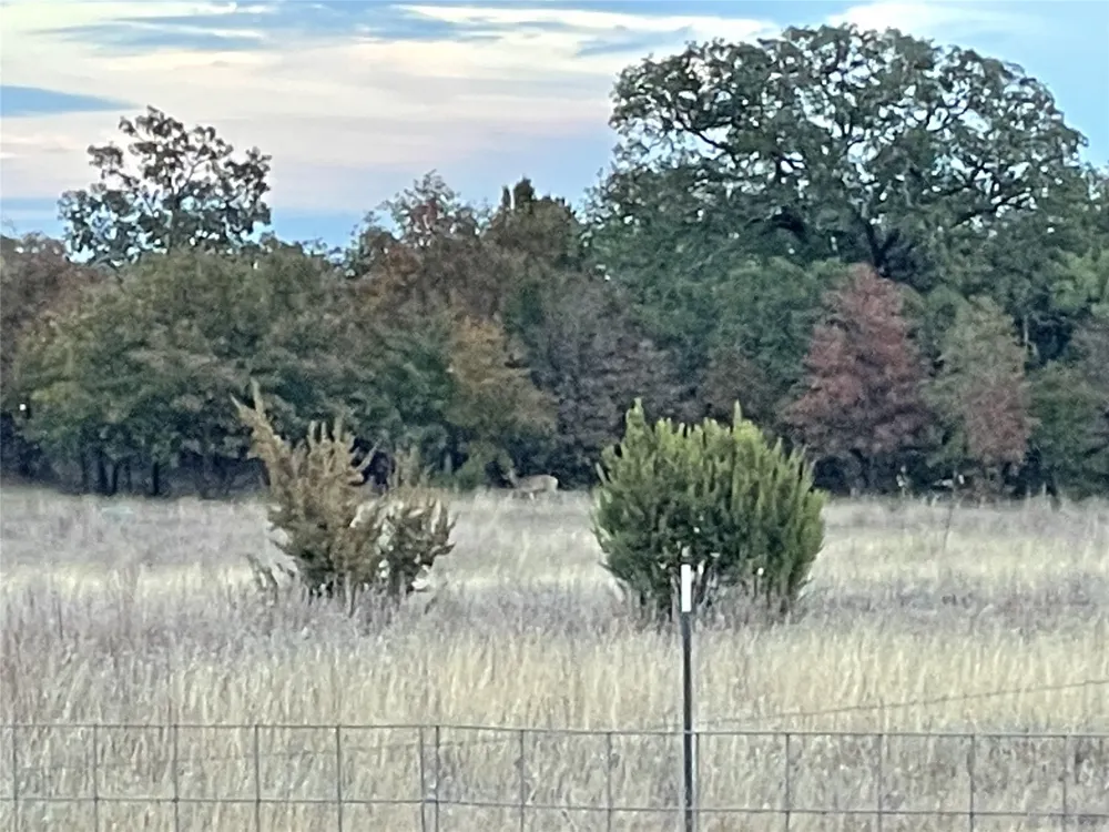 2221 Lemons Gap Road Ovalo, TX 79541