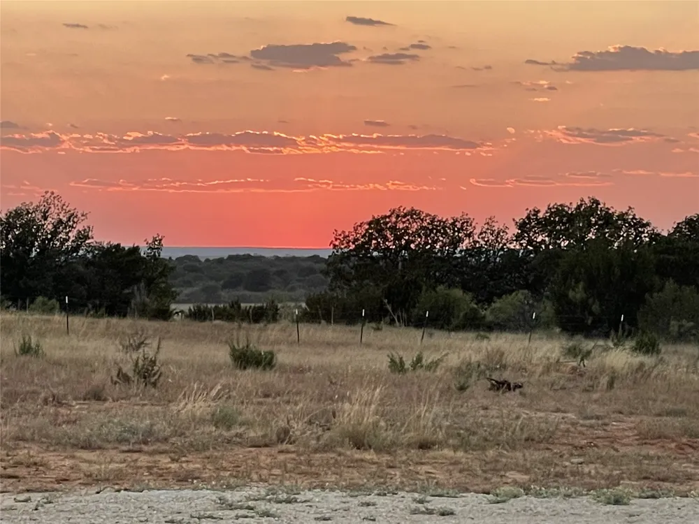 2221 Lemons Gap Road Ovalo, TX 79541