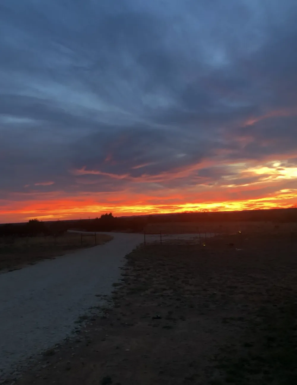 2221 Lemons Gap Road Ovalo, TX 79541