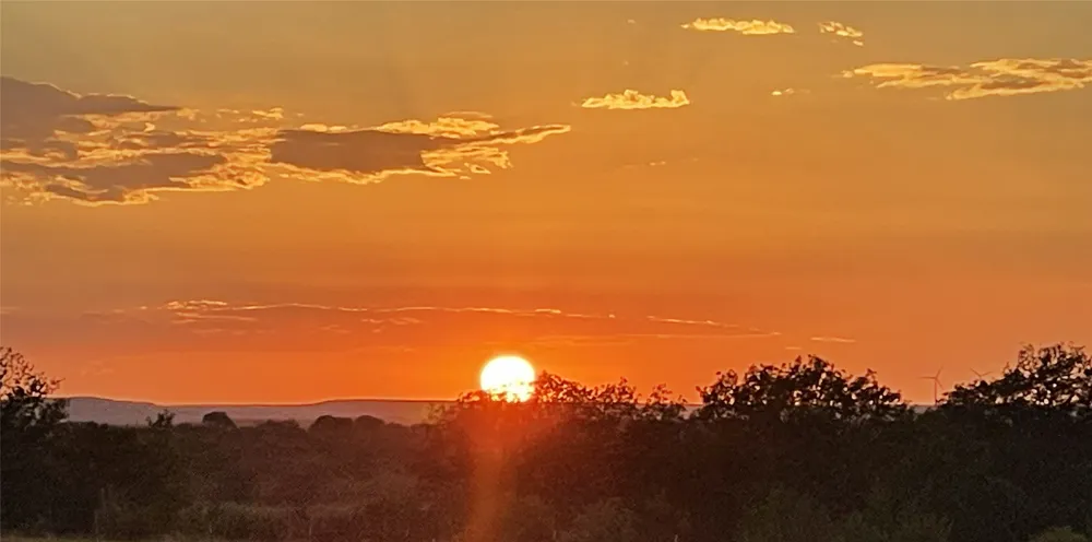2221 Lemons Gap Road Ovalo, TX 79541