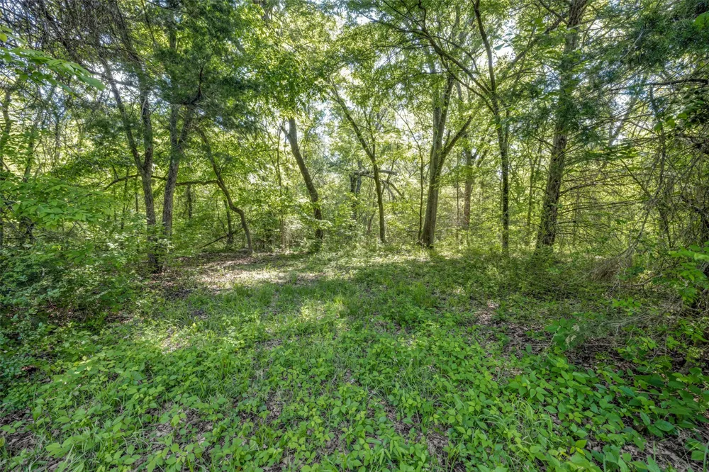 1203 County Road 4132 Cumby, TX 75433