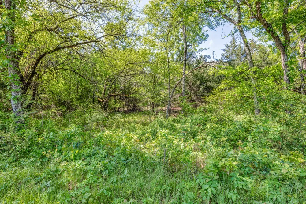 1203 County Road 4132 Cumby, TX 75433