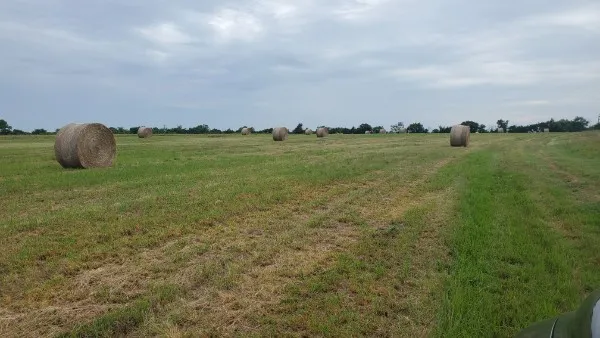 1203 County Road 4132 Cumby, TX 75433
