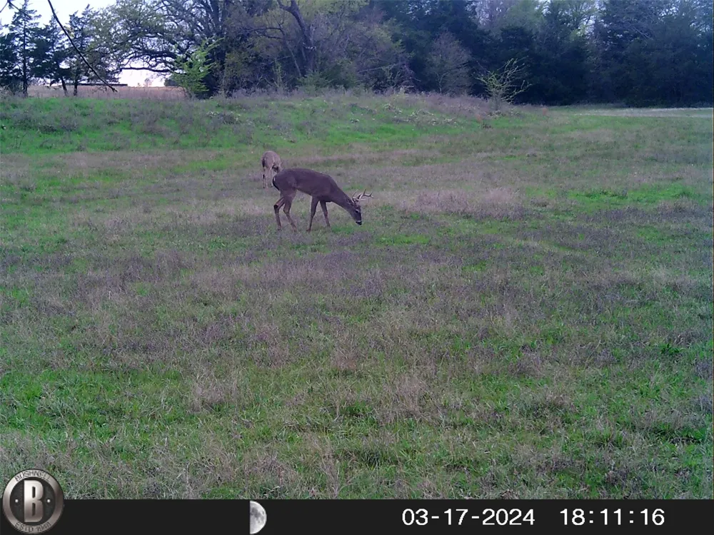1203 County Road 4132 Cumby, TX 75433