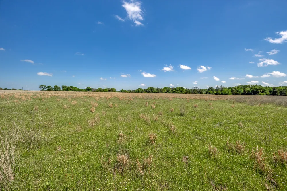 1203 County Road 4132 Cumby, TX 75433