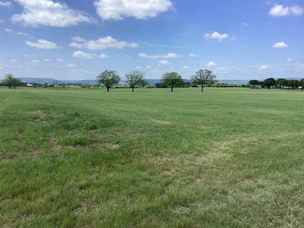 Brown Palo Pinto, TX 76484