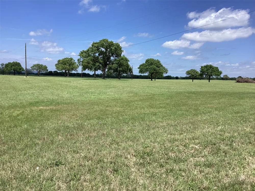Brown Palo Pinto, TX 76484