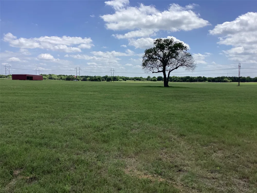Brown Palo Pinto, TX 76484