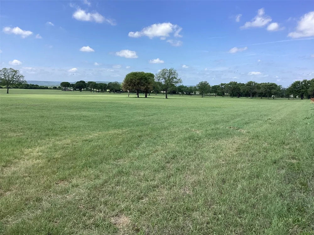 Brown Palo Pinto, TX 76484