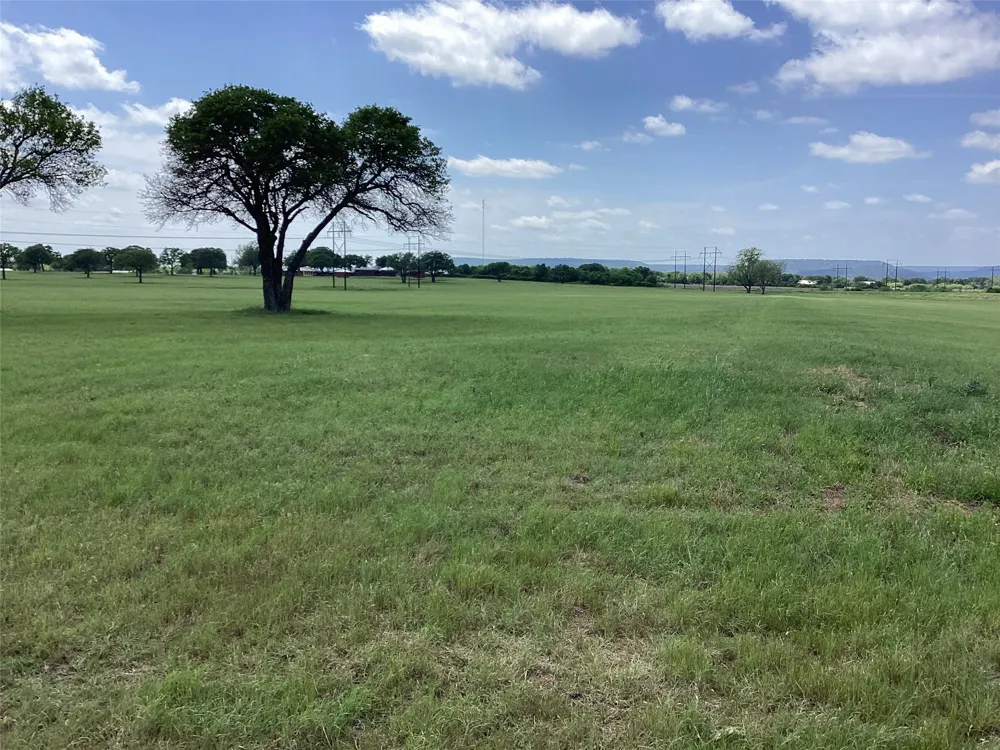 Brown Palo Pinto, TX 76484