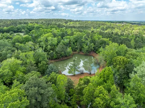 1695 County Road 3408