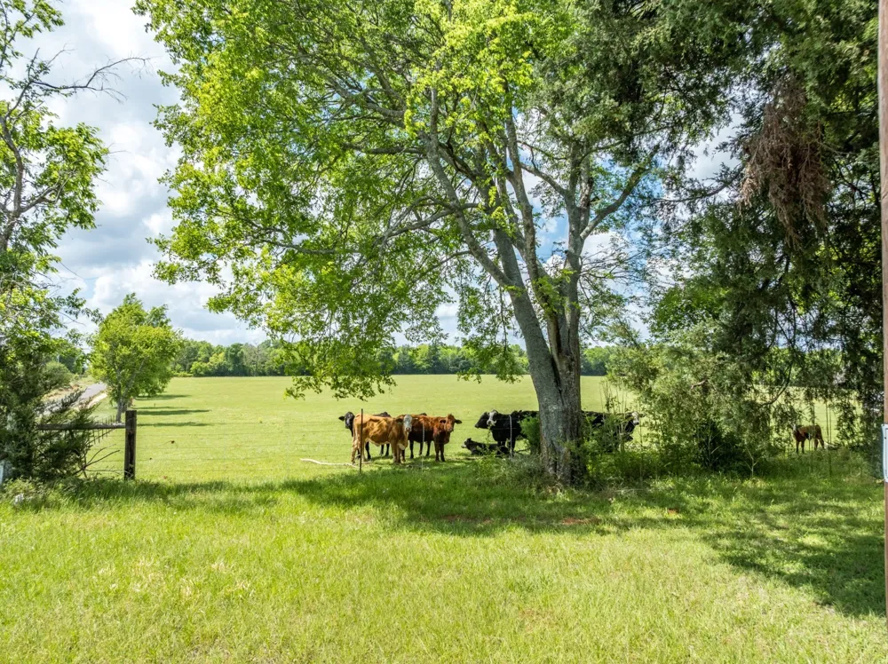 1695 County Road 3408 Jacksonville, TX 75766
