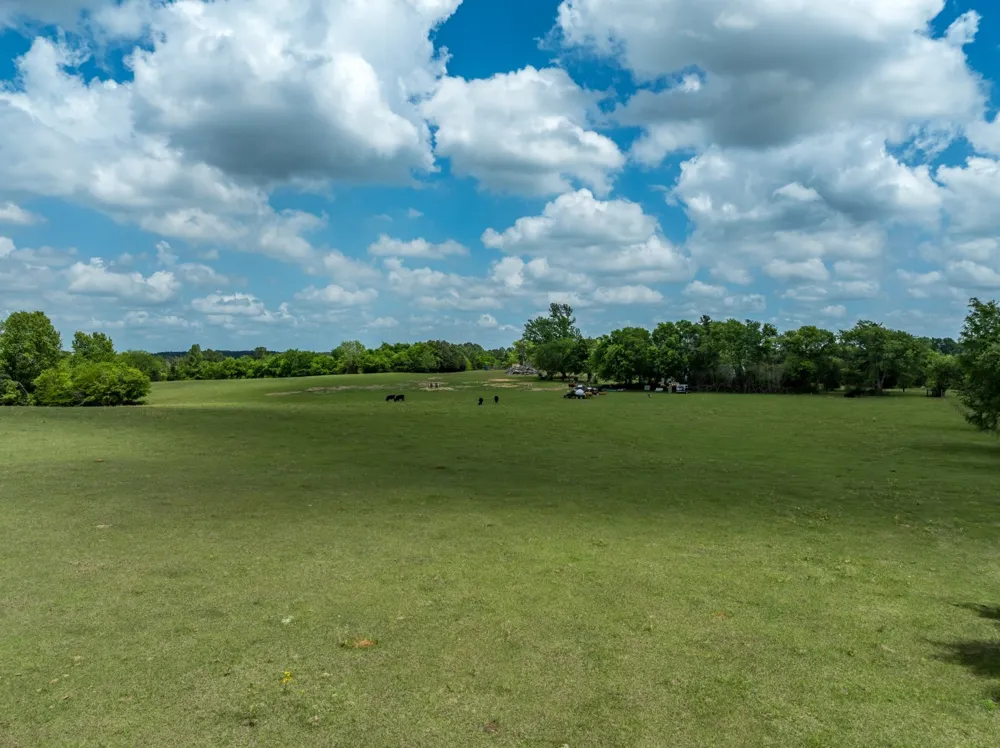 1695 County Road 3408 Jacksonville, TX 75766