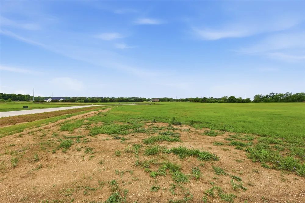 Bynum Springs Oak Leaf, TX 75154