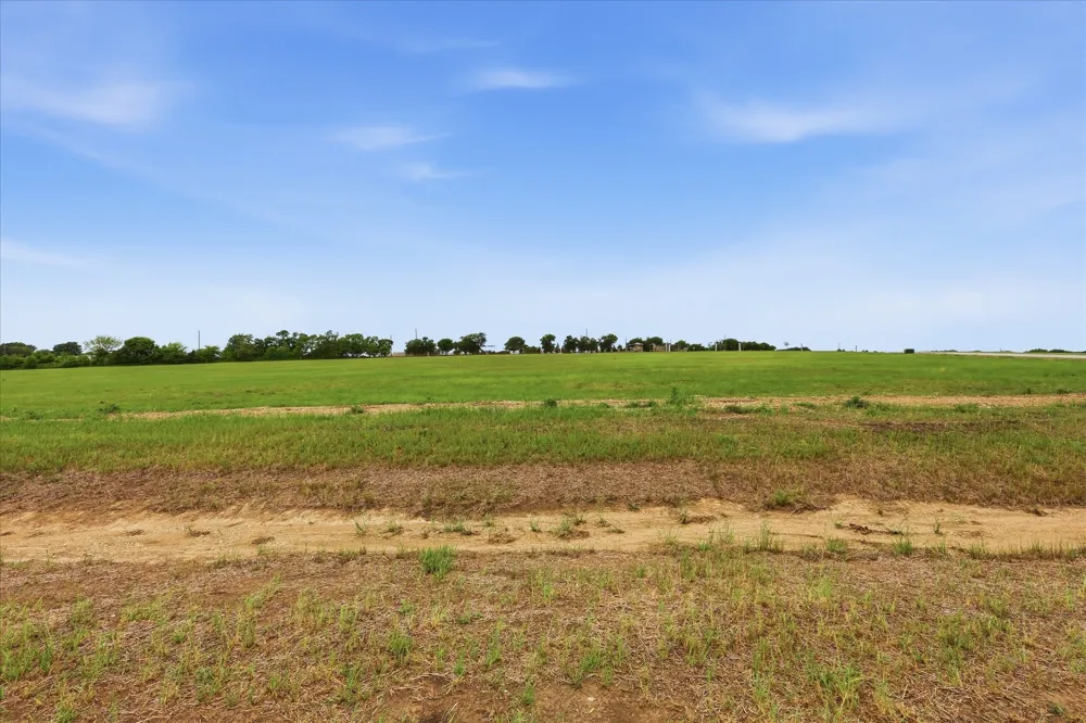 Bynum Springs Oak Leaf, TX 75154