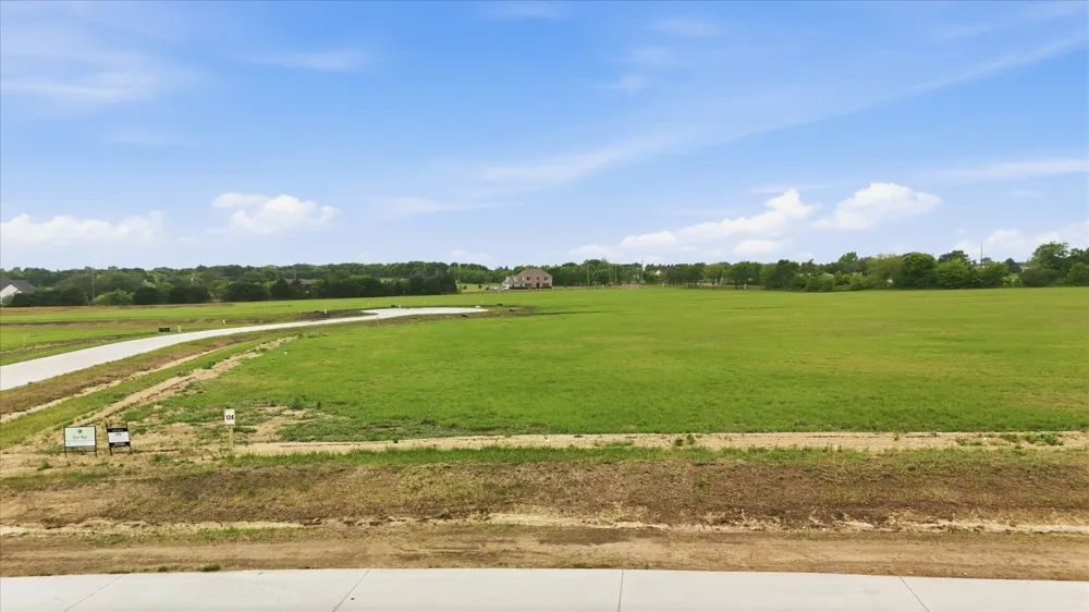 Bynum Springs Oak Leaf, TX 75154