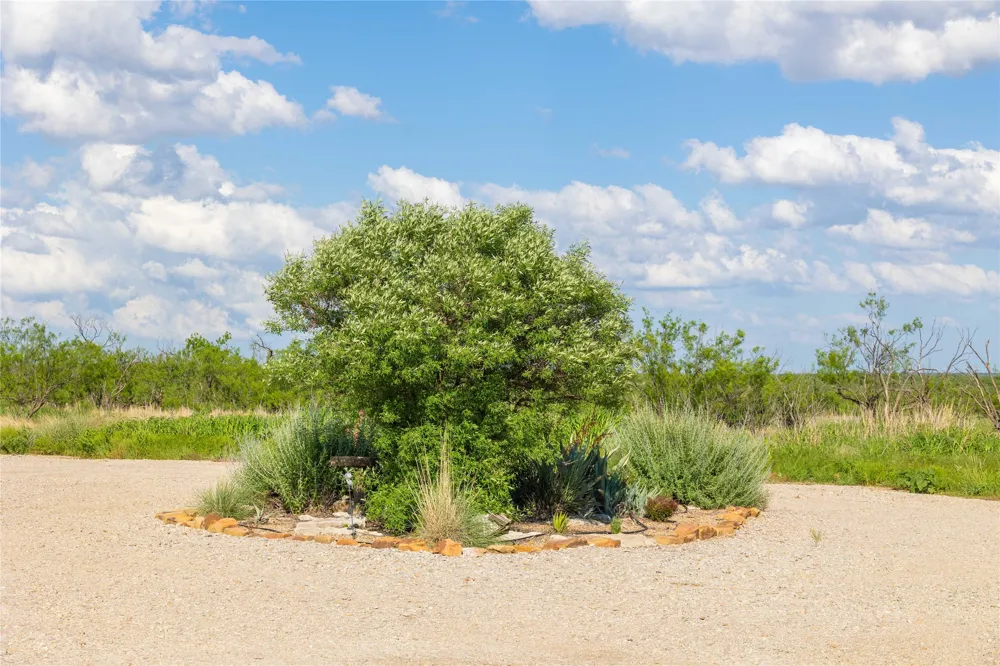 970 County Road 256 Coleman, TX 76834