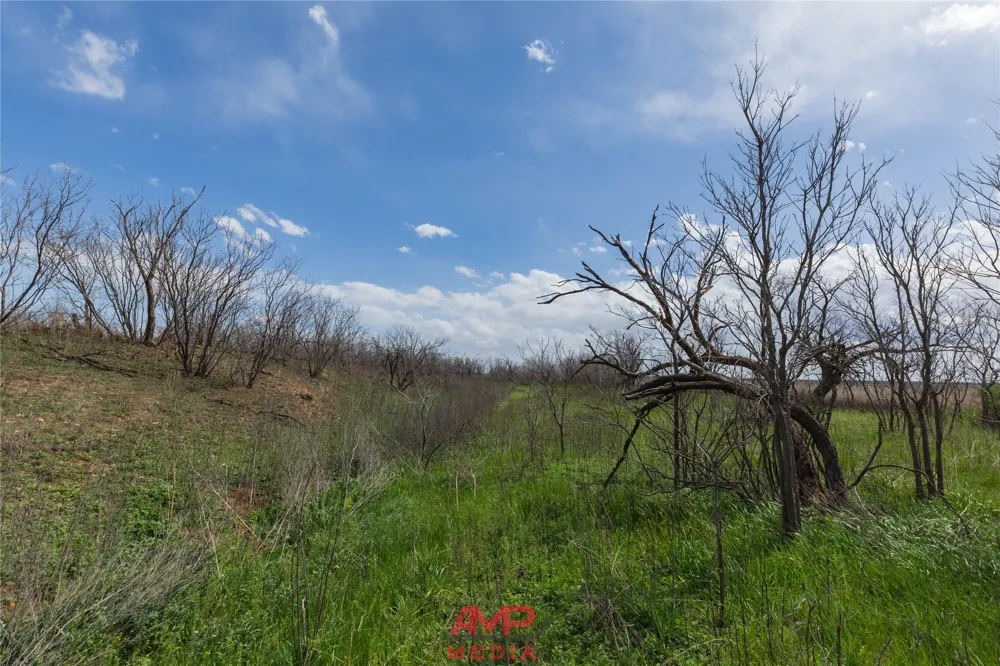 CR 463 Anson, TX 79501