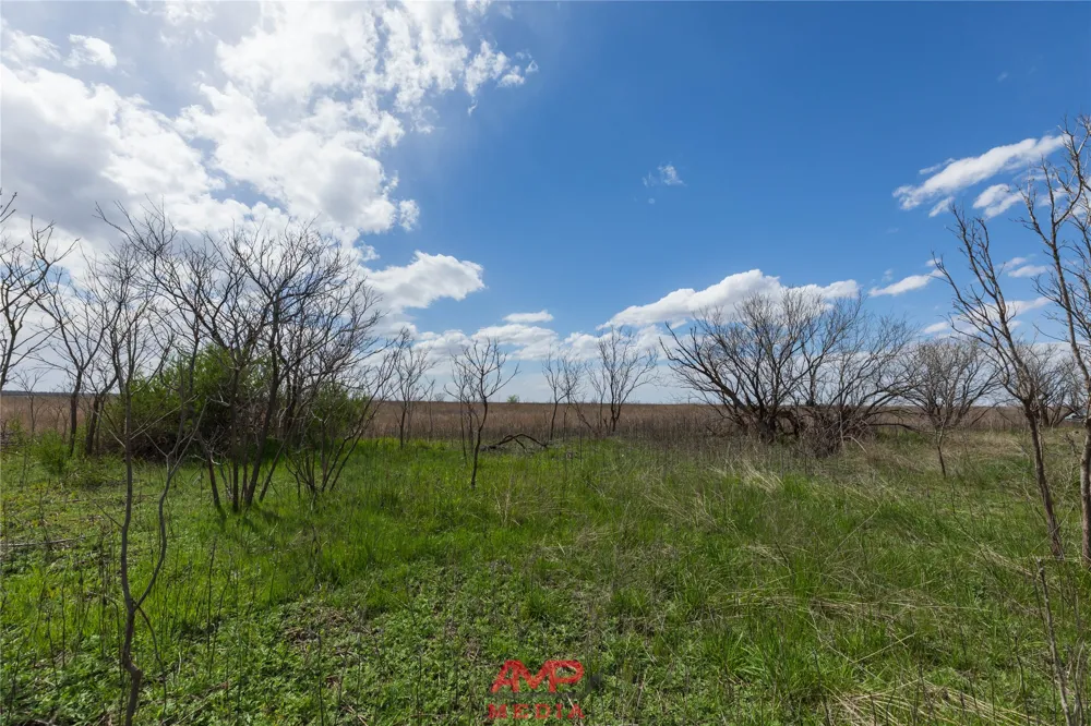CR 463 Anson, TX 79501