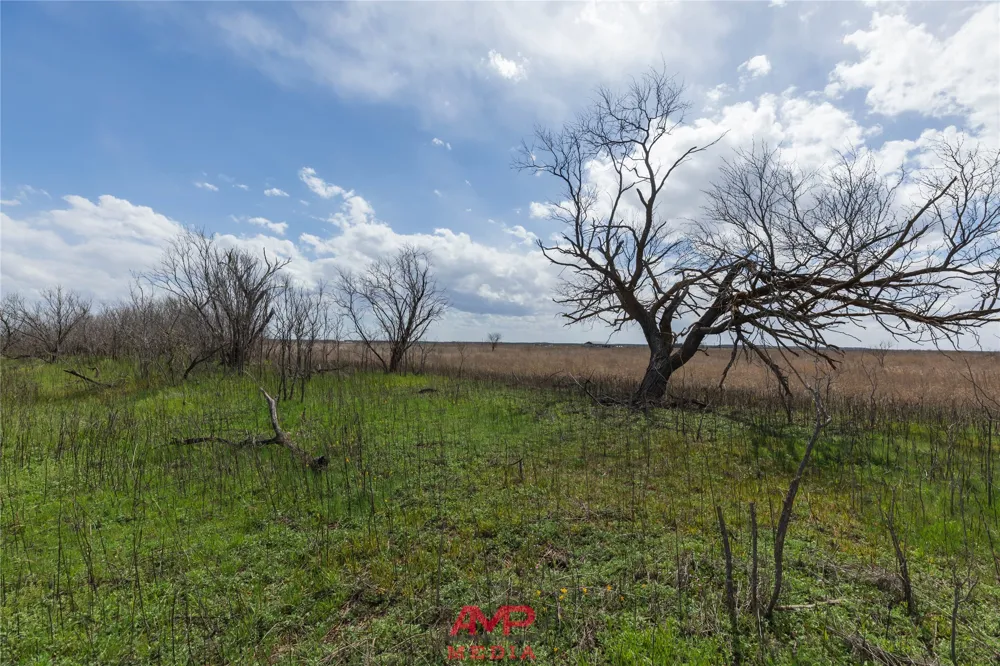 CR 463 Anson, TX 79501