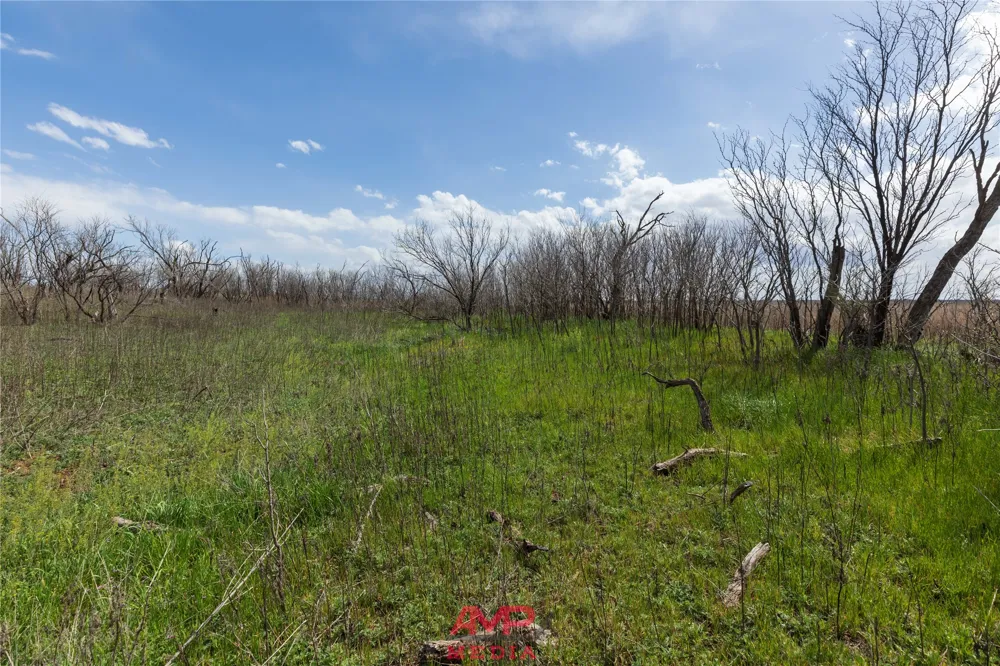 CR 463 Anson, TX 79501