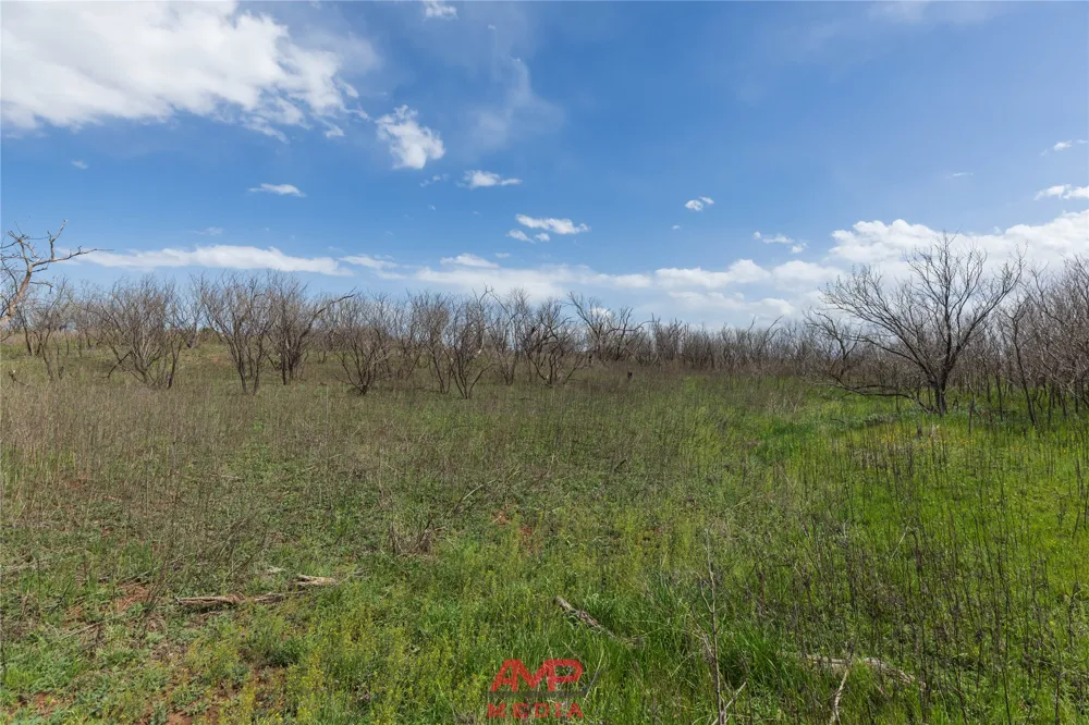 CR 463 Anson, TX 79501