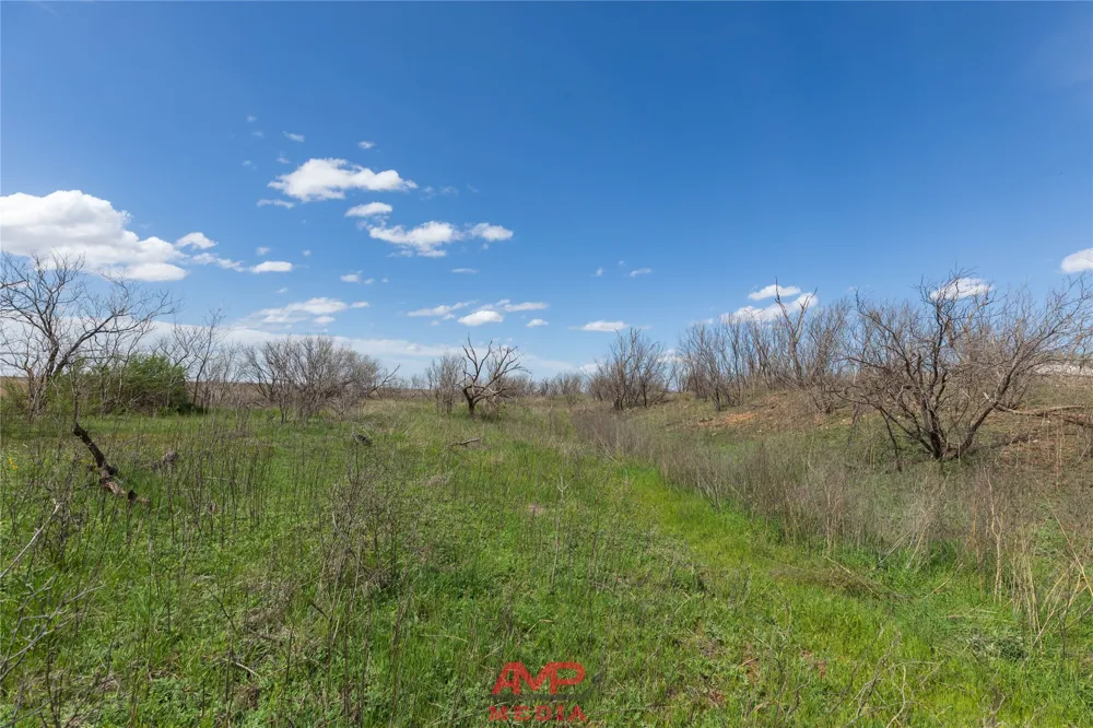 CR 463 Anson, TX 79501