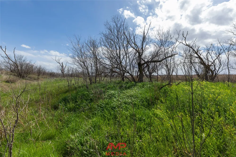 CR 463 Anson, TX 79501