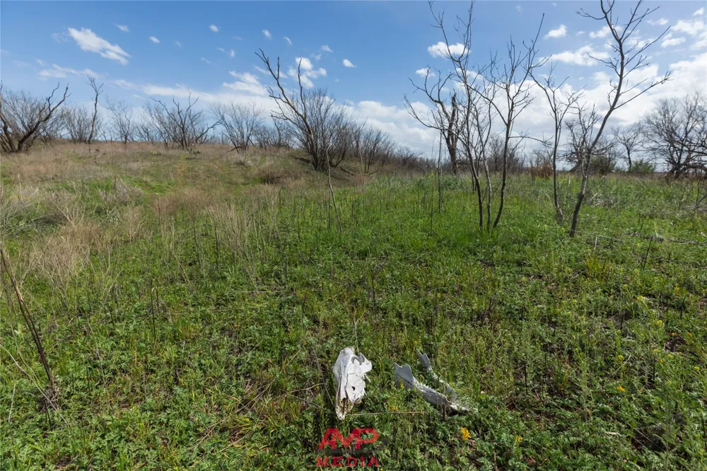 CR 463 Anson, TX 79501