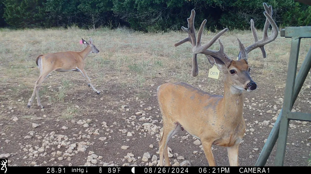 120 Private Road 2123 Meridian, TX 76665