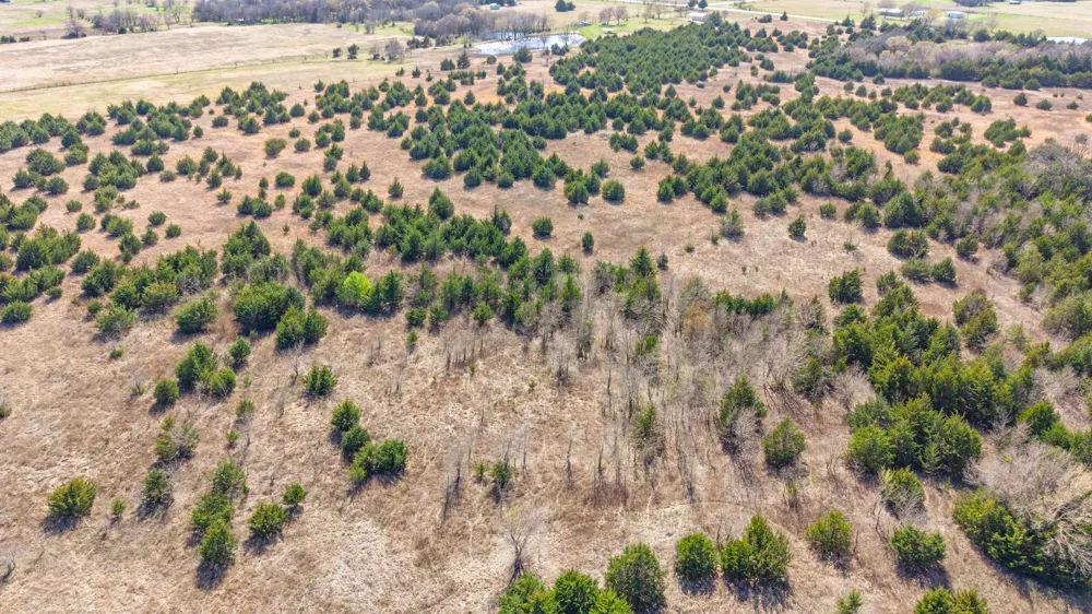 45 S HWY 78 Bonham, TX 75418