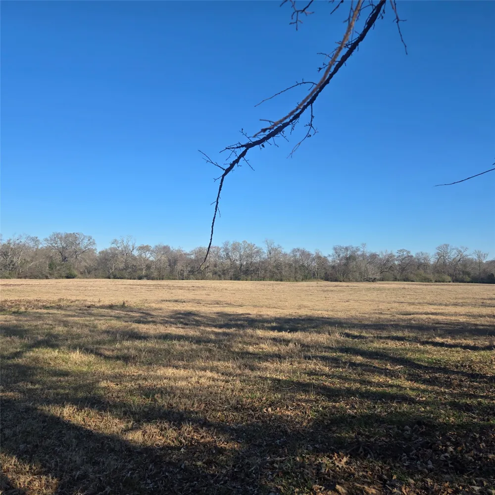 20398 Old Palestine Highway Flint, TX 75762