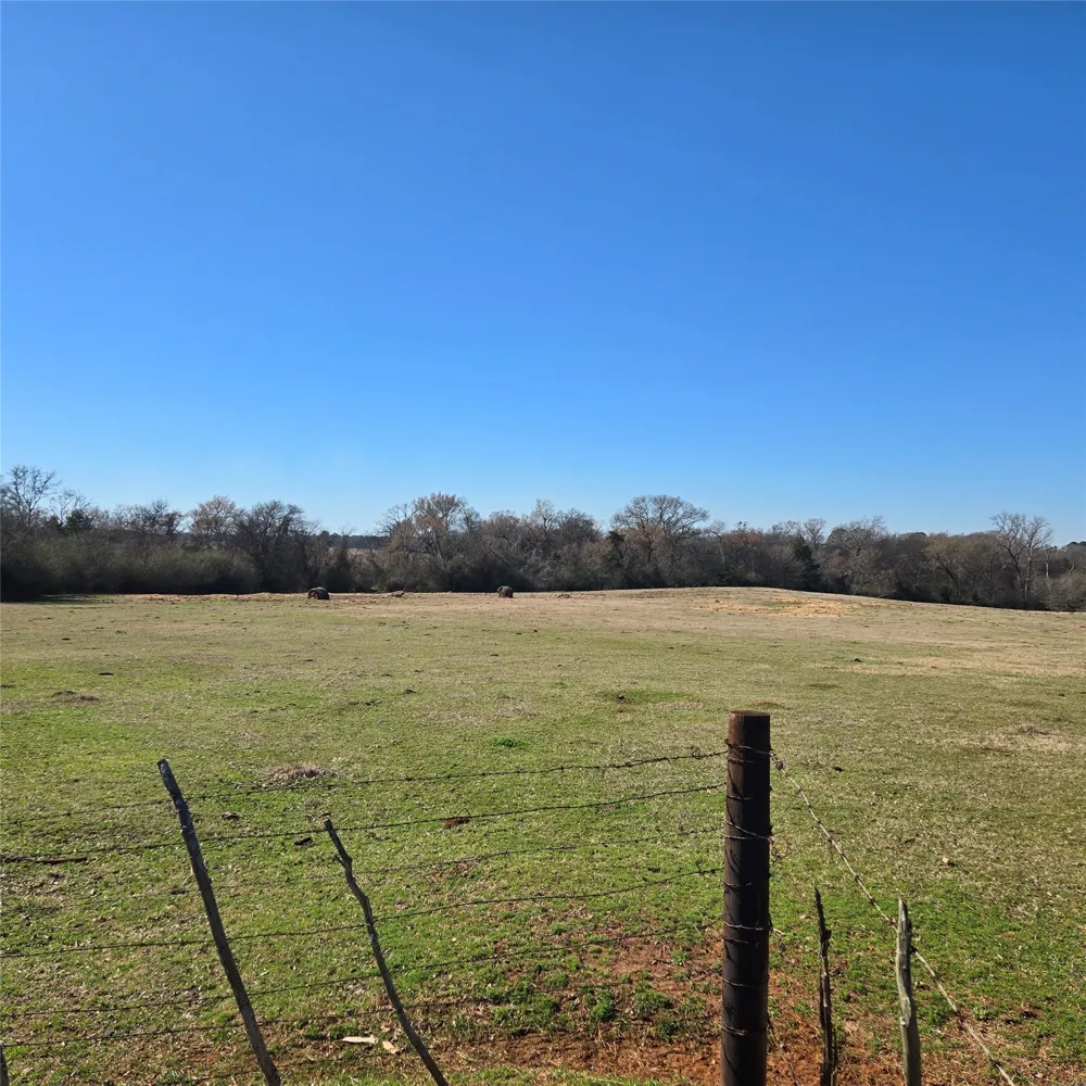 20398 Old Palestine Highway Flint, TX 75762