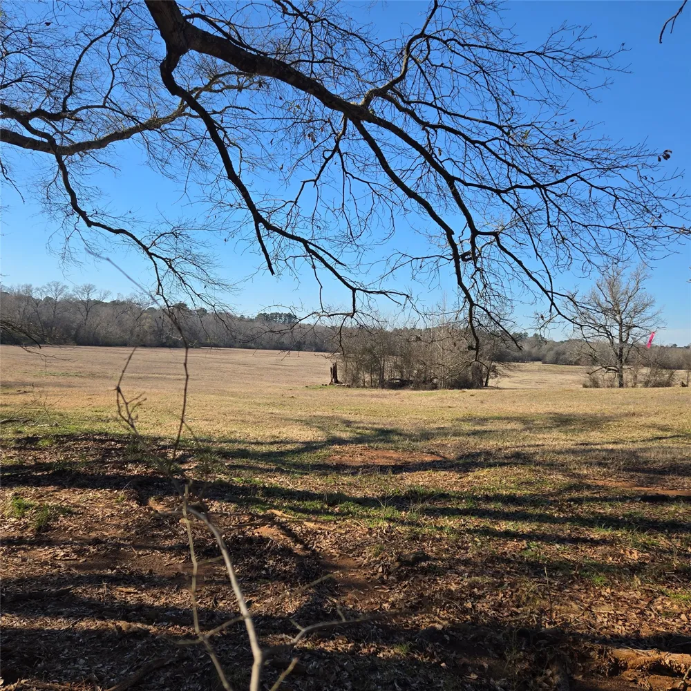 20398 Old Palestine Highway Flint, TX 75762