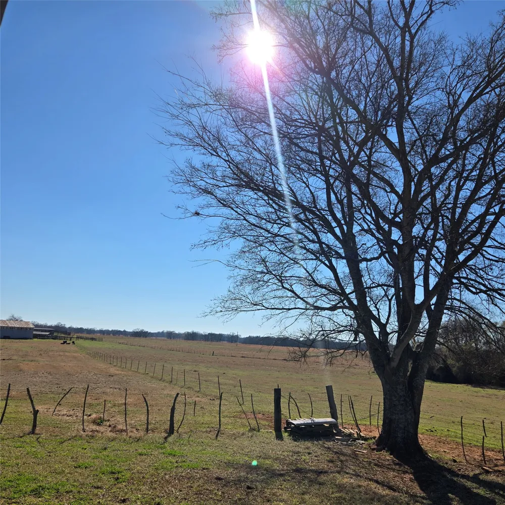 20398 Old Palestine Highway Flint, TX 75762
