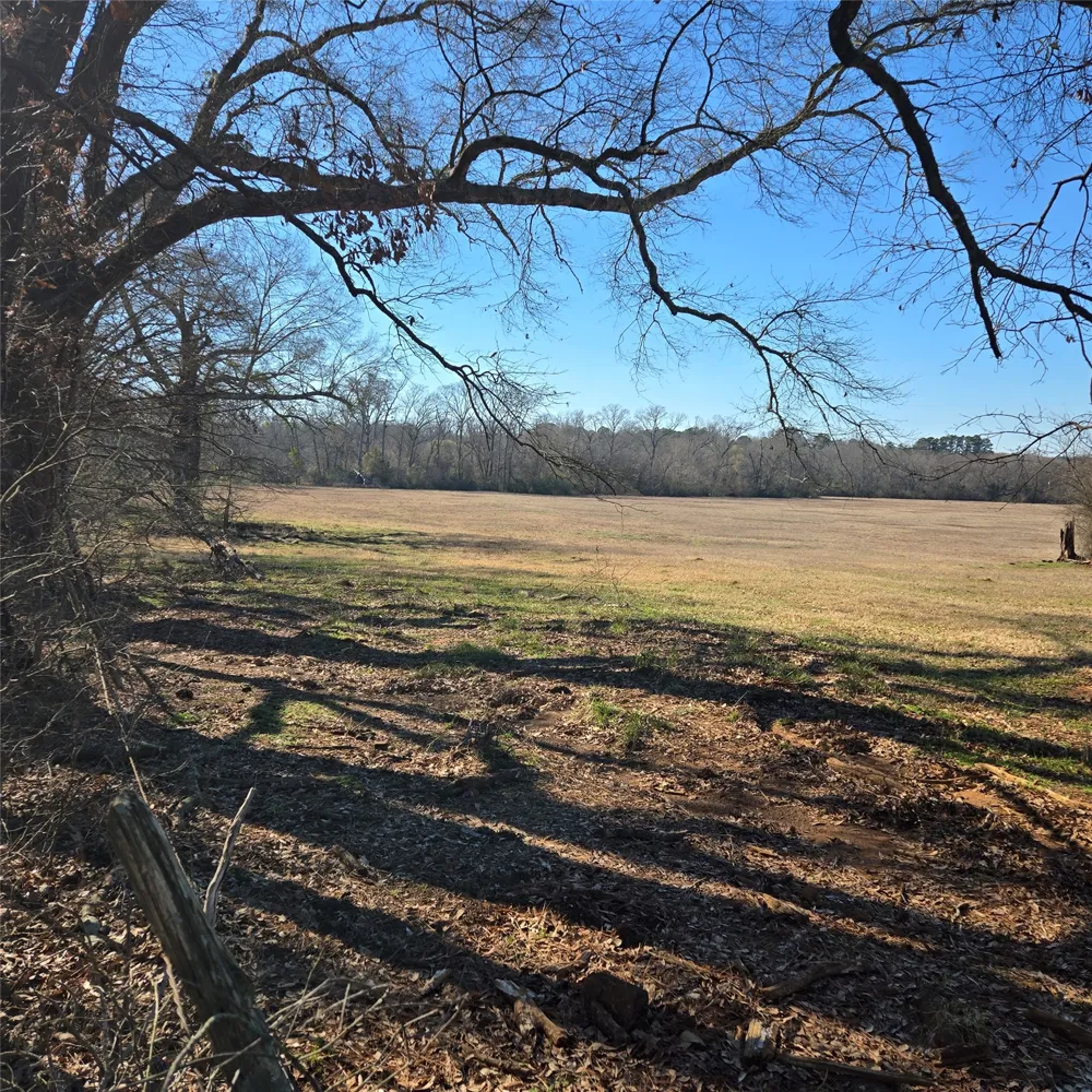 20398 Old Palestine Highway Flint, TX 75762