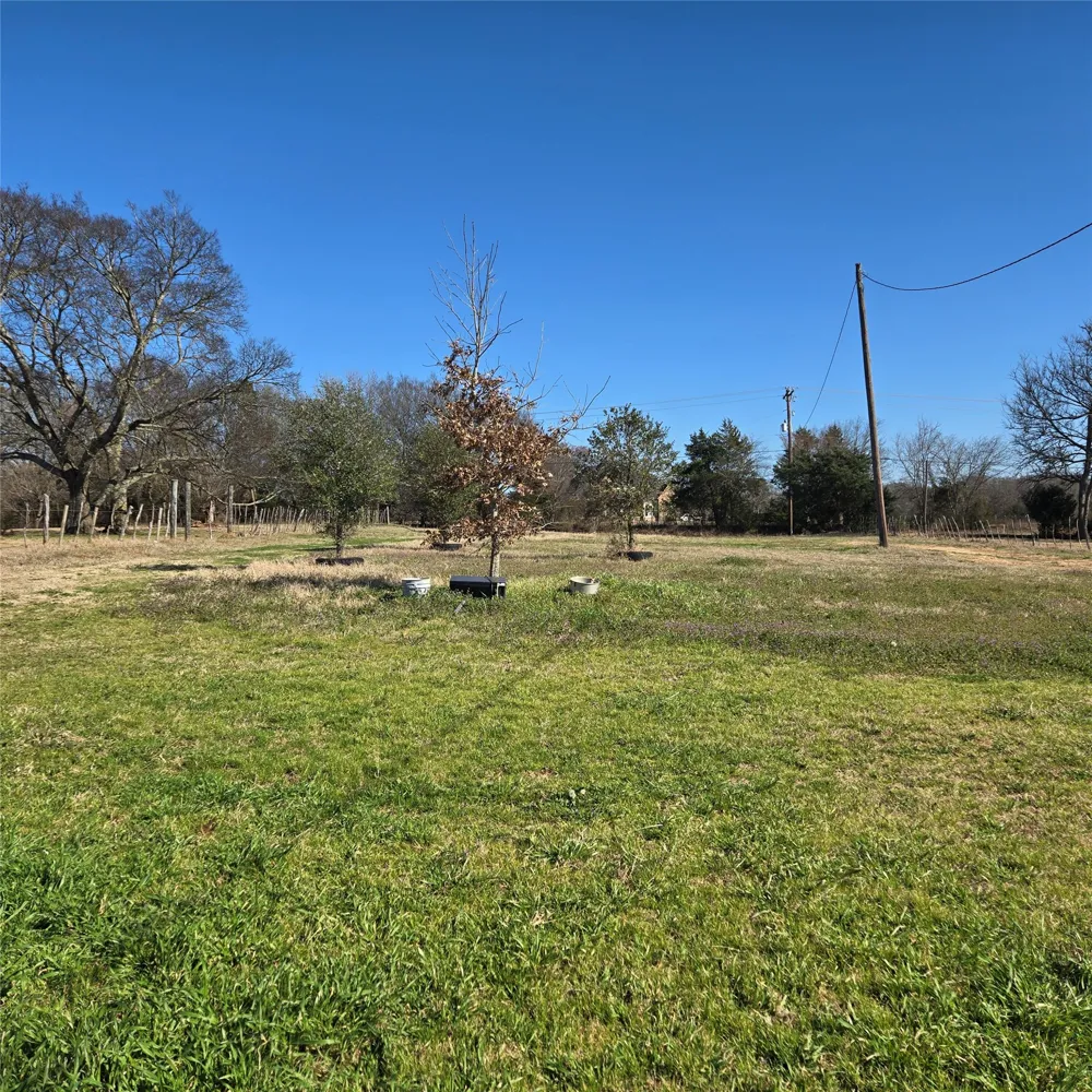 20398 Old Palestine Highway Flint, TX 75762
