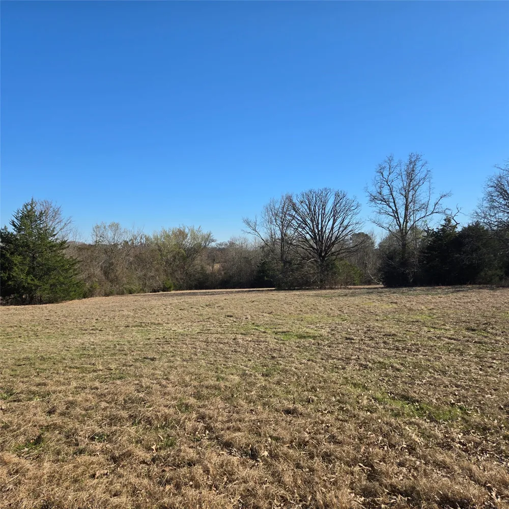 20398 Old Palestine Highway Flint, TX 75762