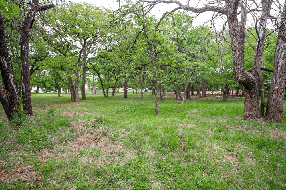 569 Lavena Street Keller, TX 76248
