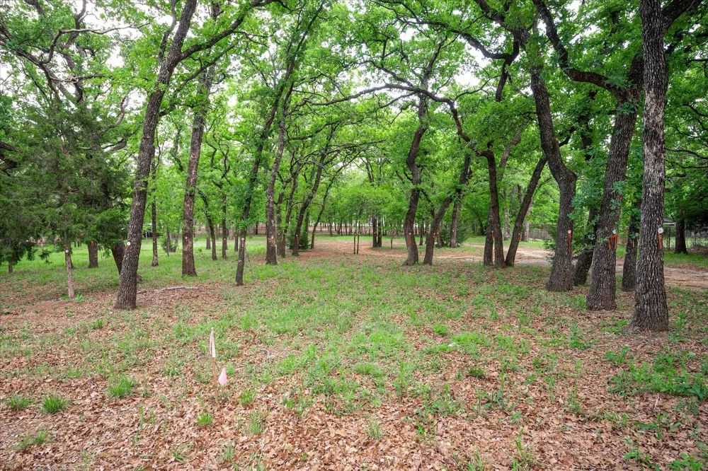 569 Lavena Street Keller, TX 76248