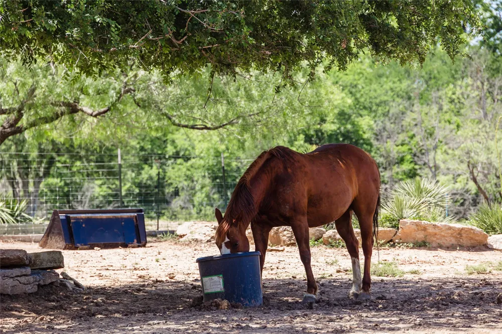 217 County Rd. 102 San Saba, TX 76877
