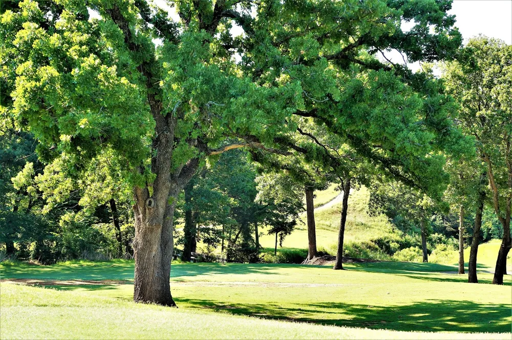 Windrose Loop Gordonville, TX 76245