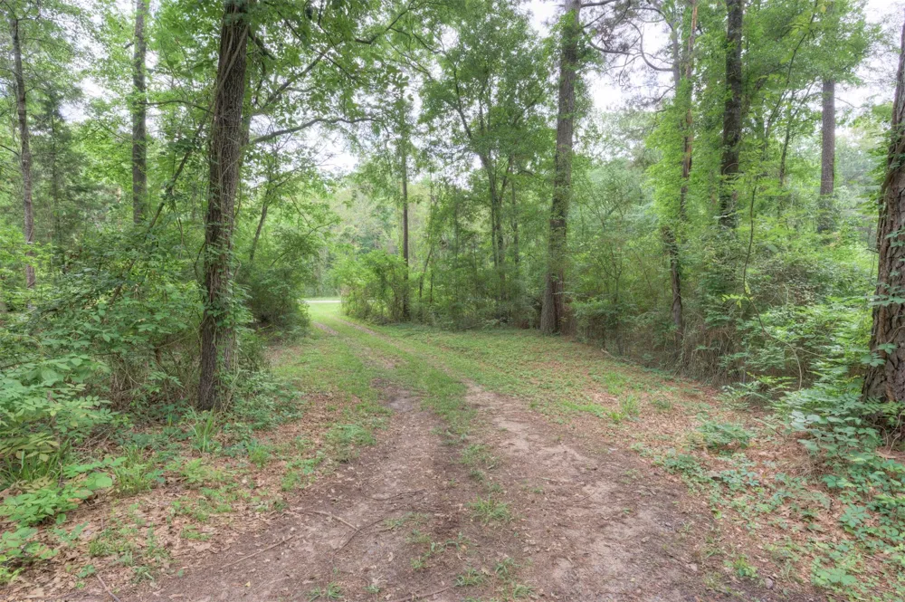 1267 Johnson Road Doyline, LA 71023