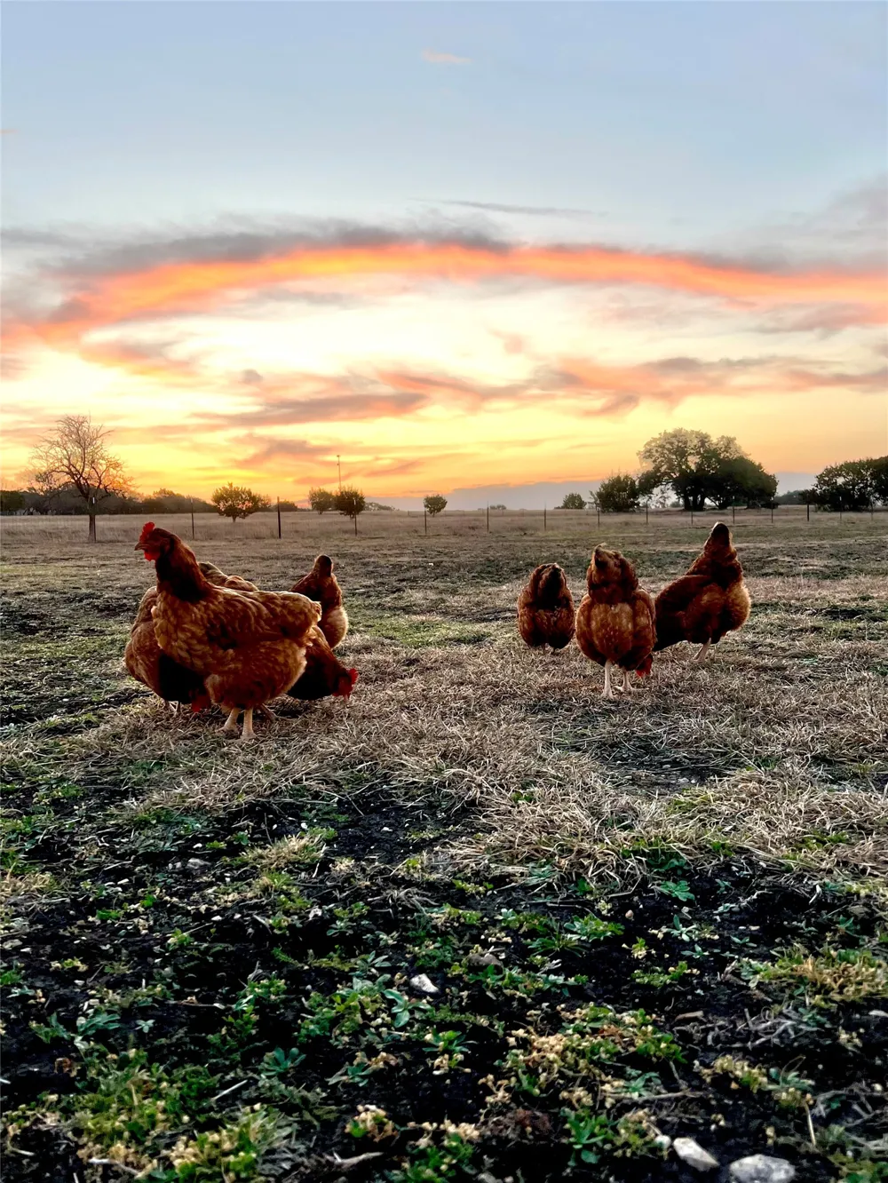 474 Private Road 305 Gatesville, TX 76528