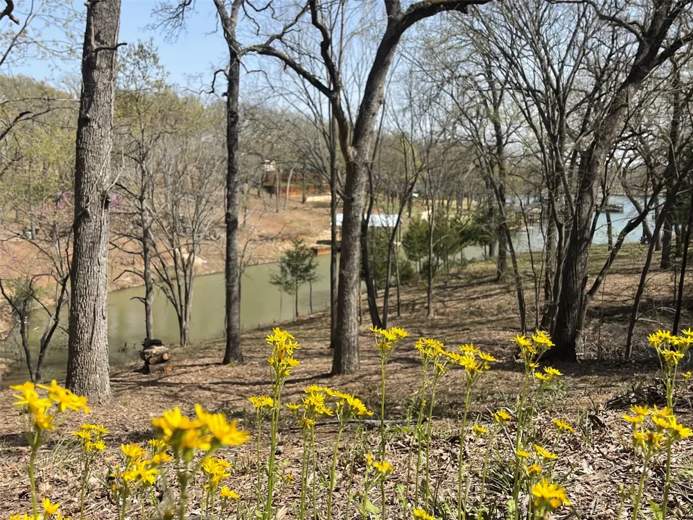 265 Shadow Oaks Streetman, TX 75859