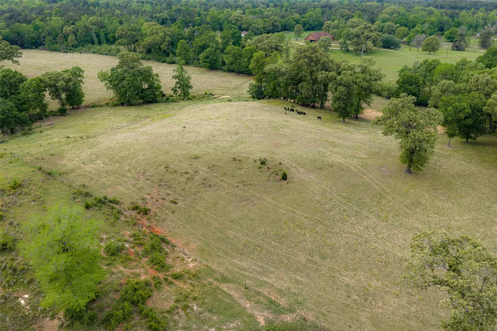 CR 1615 Jacksonville, TX 75766
